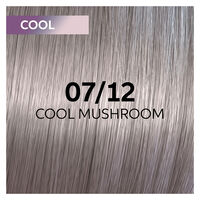 Coloration gloss Shinefinity 7/12 cool mushroom