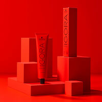 Coloration permanente Igora Royal 6-68 blond foncé chocolat rouge