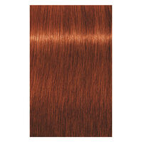 Coloration permanente Igora Royal 6-77 blond fonc&eacute; cuivr&eacute; extra