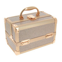 Mini Valise à main Rose Gold