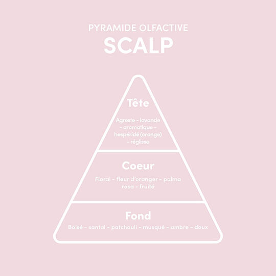 Rituel 5 &eacute;tapes cuir chevelu sain