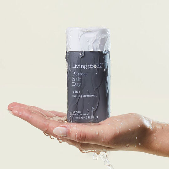 Soin coiffant 5 en 1 Perfect Hair Day