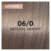 Coloration gloss Shinefinity 06/0 natural brandy