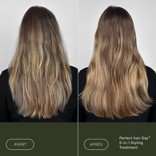 Soin coiffant 5 en 1 Perfect Hair Day