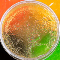 Gel&eacute;e &agrave; l'alo&eacute; vera et tea tree Aloe Locks