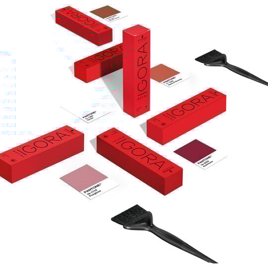 Coloration permanente Igora Royal 6-00 blond foncé naturel extra