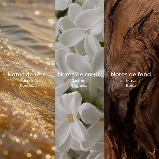 Shampooing hydratation Hair Therapy 250 ml