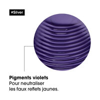 Duo recharge d&eacute;jaunissant Silver + shampooing 500ml