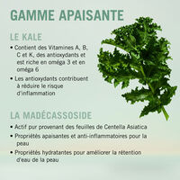 Duo apaisant Bonacure Scalp
