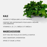 S&eacute;rum apaisant BC Scalp