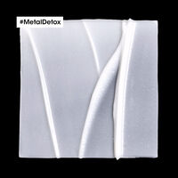 Masque Metal Detox 250 ml