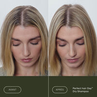 Shampooing sec Perfect Hair Day