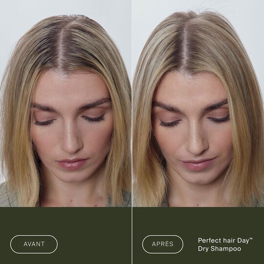 Shampooing sec Perfect Hair Day