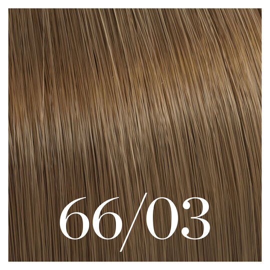 Coloration semi-permanente Color Touch 66/03 blond fonc&eacute; naturel dor&eacute;