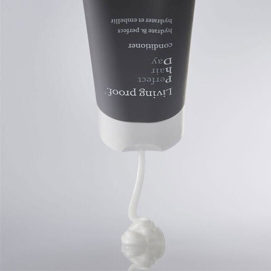 Apr&egrave;s-shampooing Perfect Hair Day