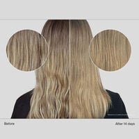 Shampooing volumateur Full