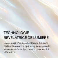 Traitement haute brillance Perfect Hair Day