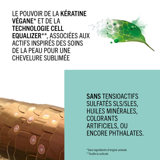 R&eacute;novateur de pointes+ BC Repair Rescue