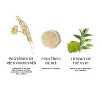 Shampooing nourrissant Repair My Hair,  Shampooing nourrissant Repair My Hair