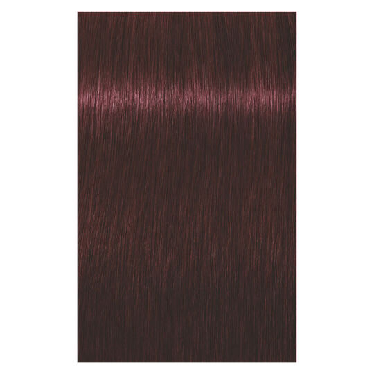 Coloration permanente Igora Royal 4-88 ch&acirc;tain rouge extra