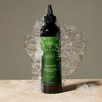 Shampooing au romarin Rosemary