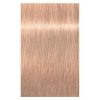 Coloration permanente Igora Royal 12-46 sp&eacute;cial blonde beige chocolat