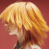 Spray protecteur multi-usages Super Shield Osis+