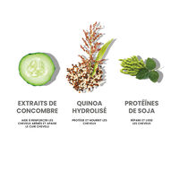 Shampooing hydratant Hydrate My Hair