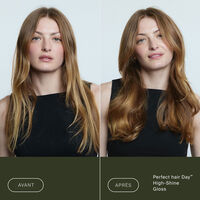 Traitement haute brillance Perfect Hair Day