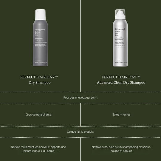 Shampooing sec Perfect Hair Day