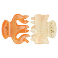 4 Petites pinces Clipstar Oasis