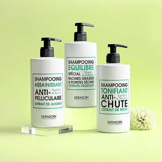 Shampooing &eacute;quilibre racines grasses pointes s&egrave;ches 500ml
