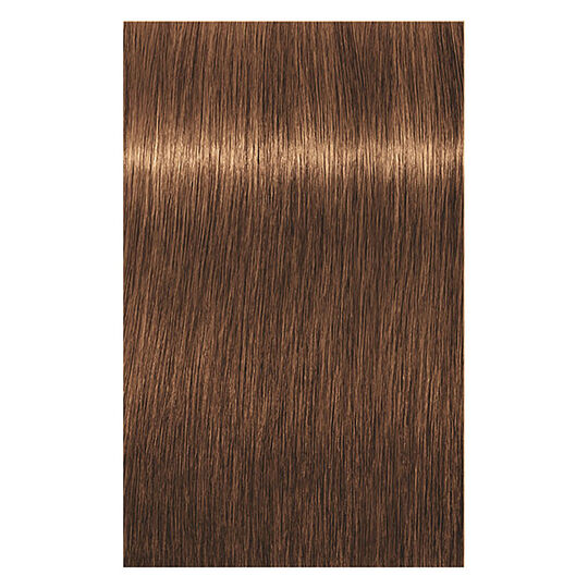 Coloration permanente Igora Royal 7-55 blond dor&eacute; extra