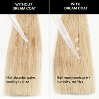 Spray prodigieux Dream Coat