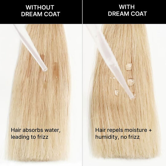 Spray prodigieux Dream Coat