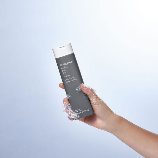 Shampooing Perfect Hair Day