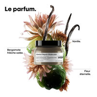 Masque professionnel concentré Absolut Repair Molecular 150 ml