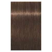 Coloration permanente Igora Royal 6-6 blond foncé chocolat