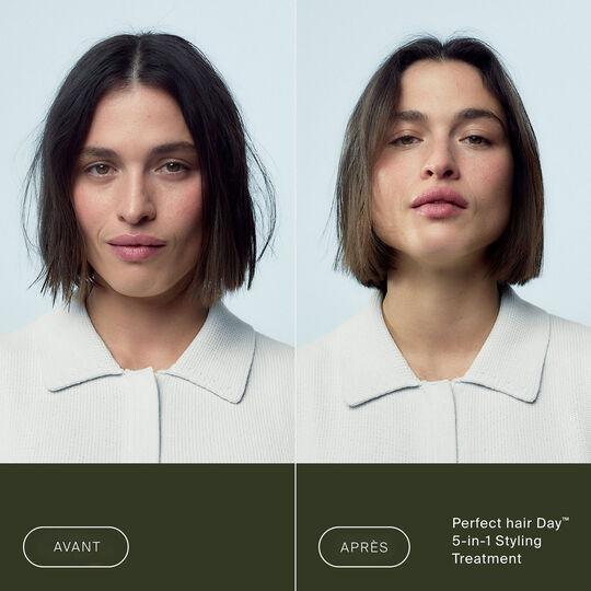 Soin coiffant 5 en 1 Perfect Hair Day